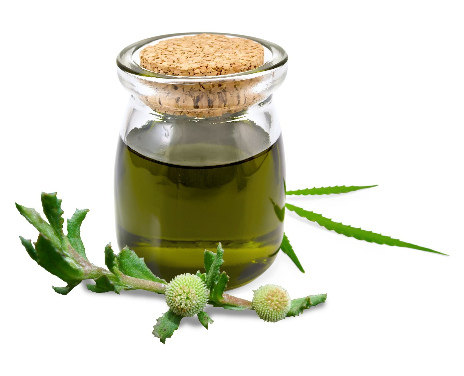 hemp drops for joint – HEMP SEED OIL ORGANIC 1400mg stress relief formula 1Bot