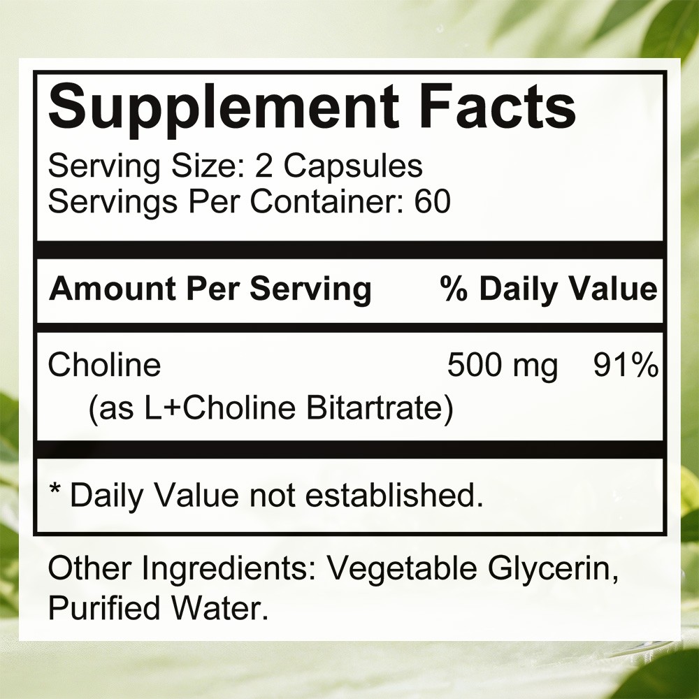 500mg Choline Capsules For Mental Focus & Healthy Liver Function,30/60/120 CT