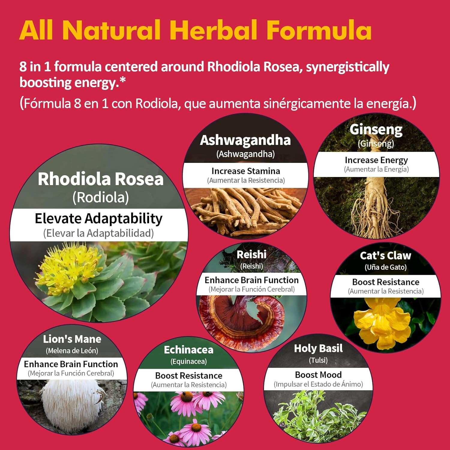 Nurbetoxa Rhodiola Rosea Drops, Herbal Extract Blend for Energy Support, Brain