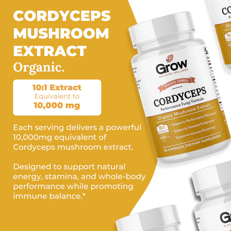 FreshCap Cordyceps Mushroom Extract Powder Organic, Energy Immune Support, 60 CT