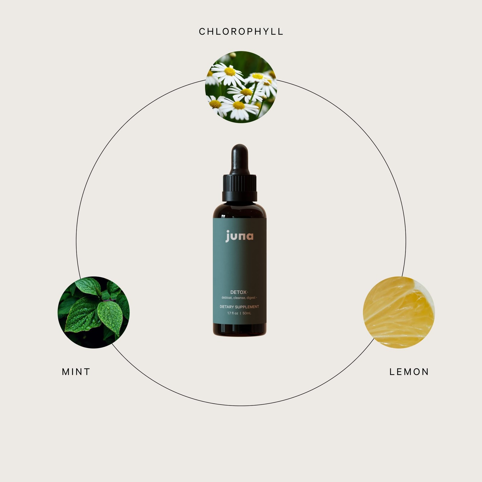 Juna Liquid Chlorophyll Drops – Daily Detox, Cellular 1.7 Fl Oz (Pack of 1)
