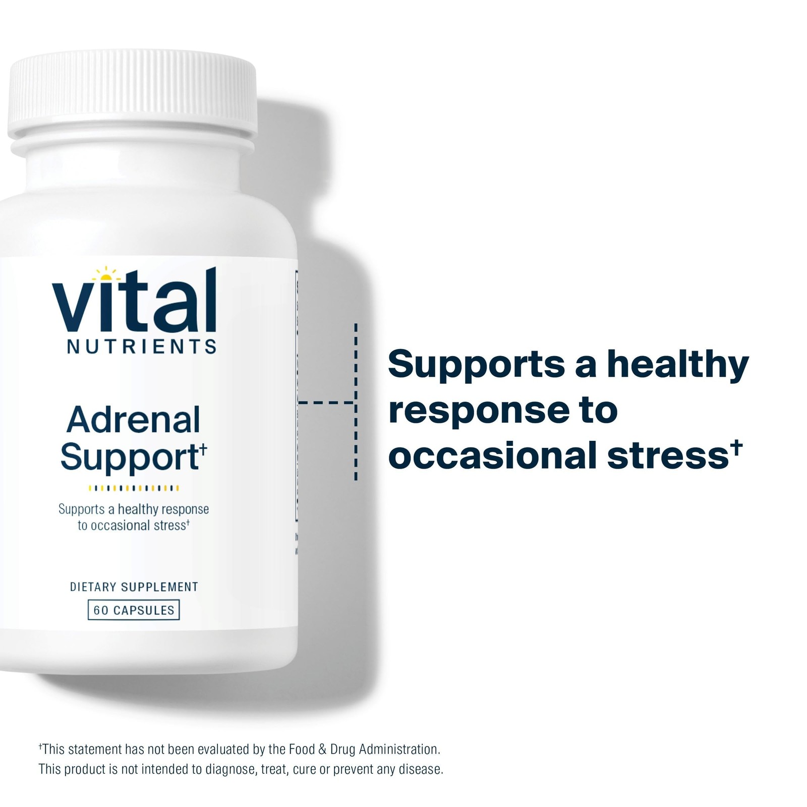 Vital Nutrients Adrenal 60 Count (Pack of 1), White With Orange Coating