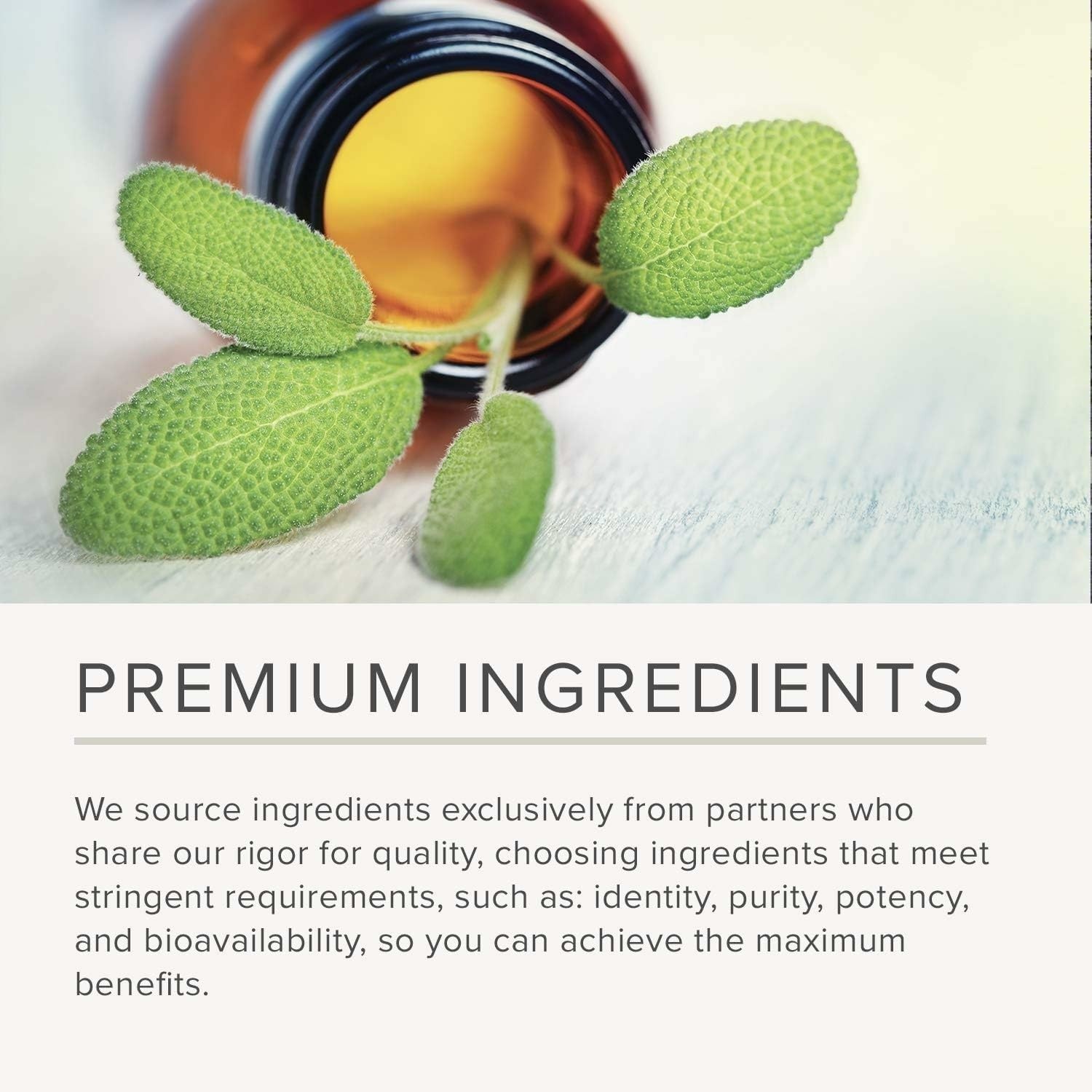 Integrative Therapeutics DHEA-25 – Support Supplement 60 Count (Pack of 1)