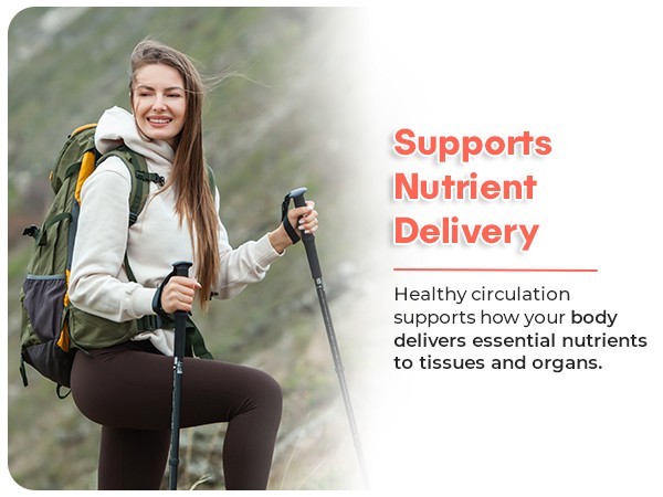 CIRCULATION SUPPORT – Vein & Blood Flow Support Supplement