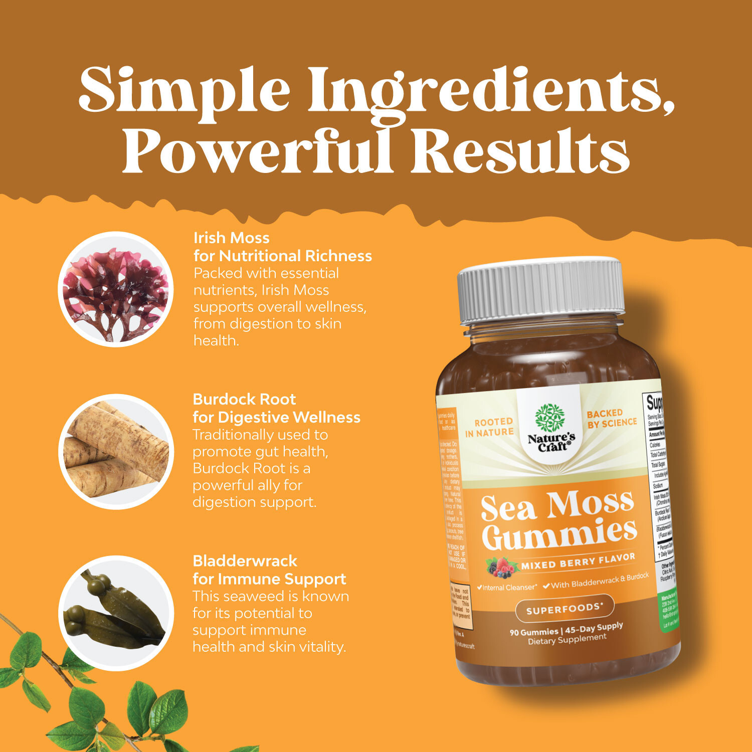 Natures Craft Irish Sea Moss Gummies for Women, Men & Kids – Immune Support 90ct