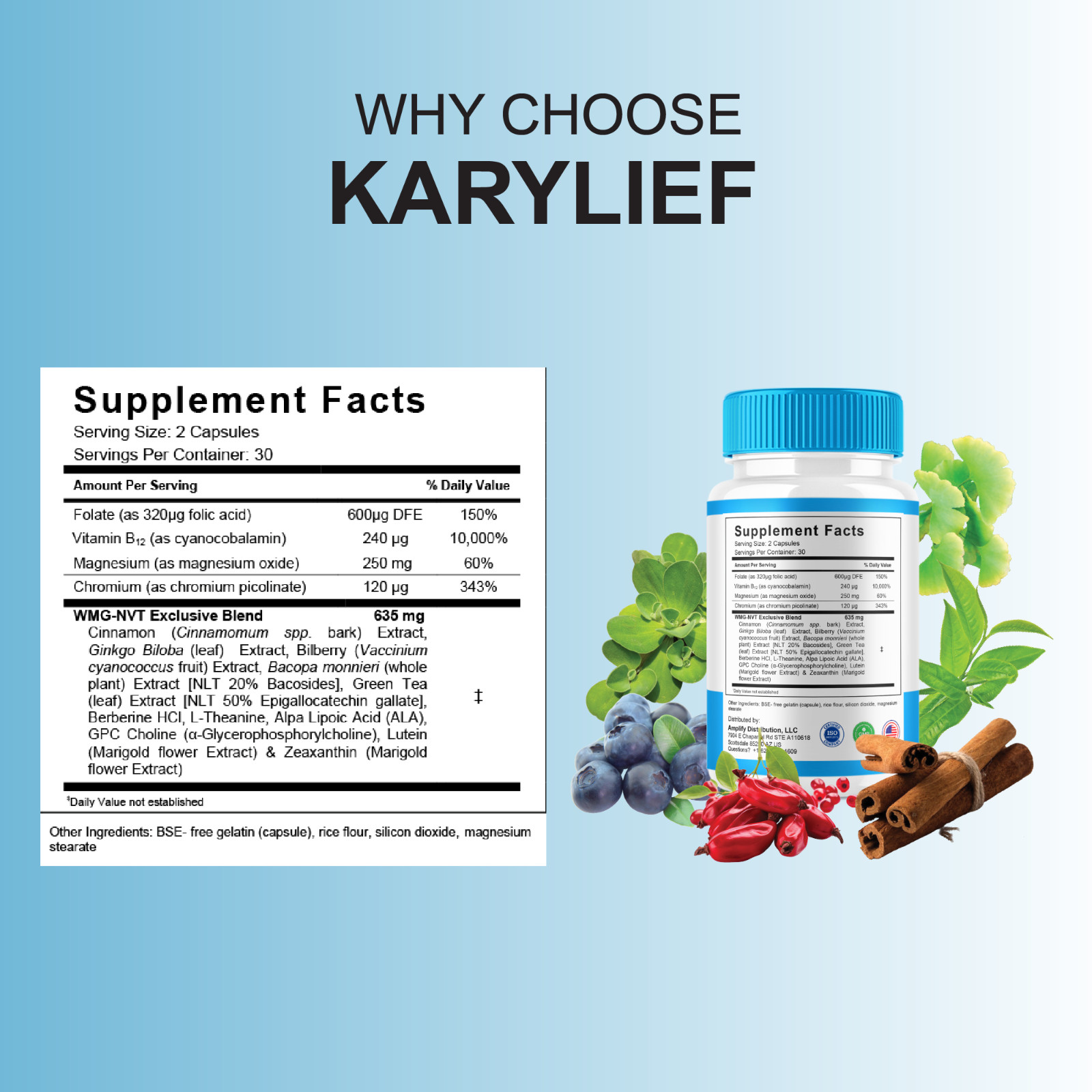 (3 Pack) Karylief Tinnitus Capsules, Kary lief Ear Health Support (180 Capsules)
