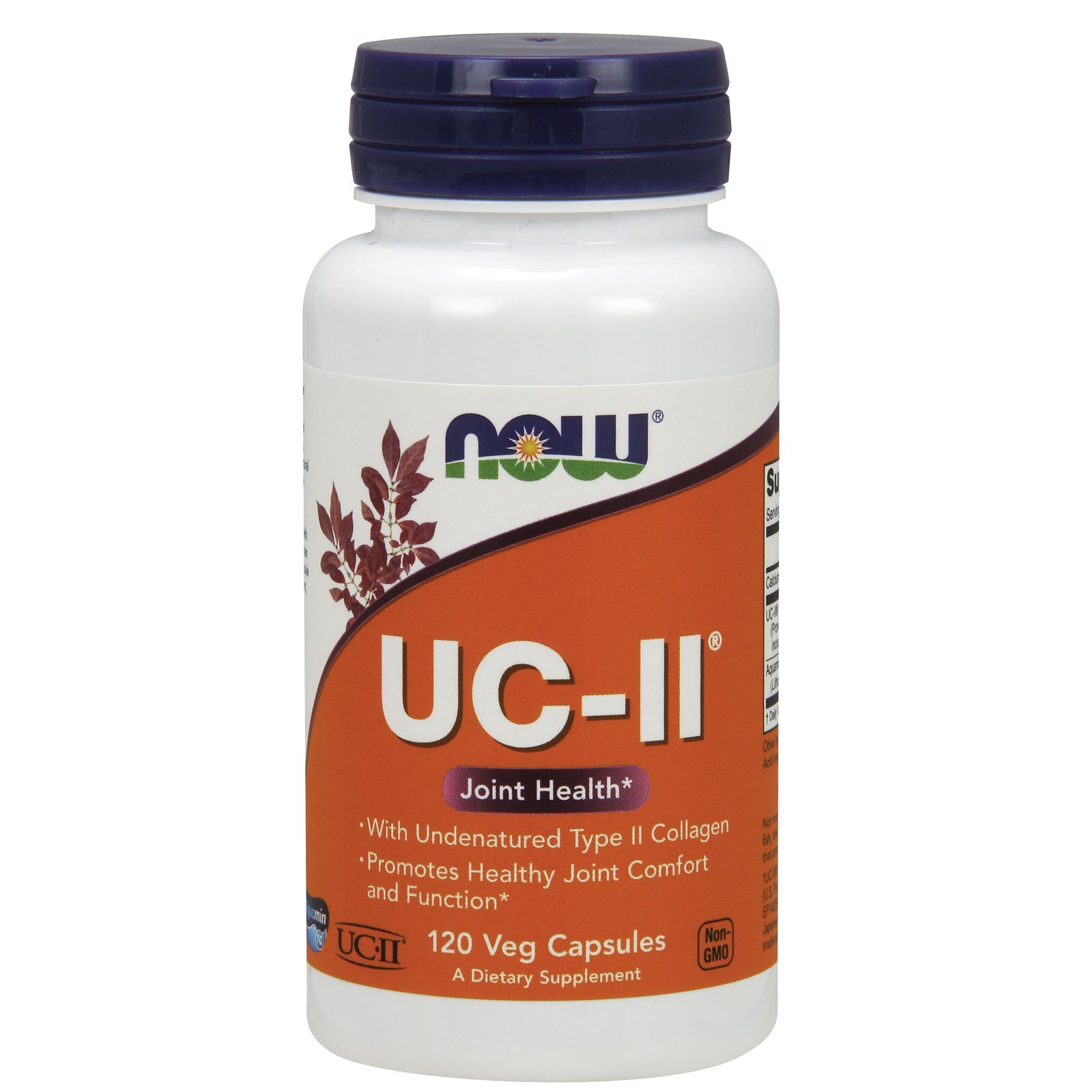 NOW FOODS UC-II Type II Collagen 120 Veg Capsules