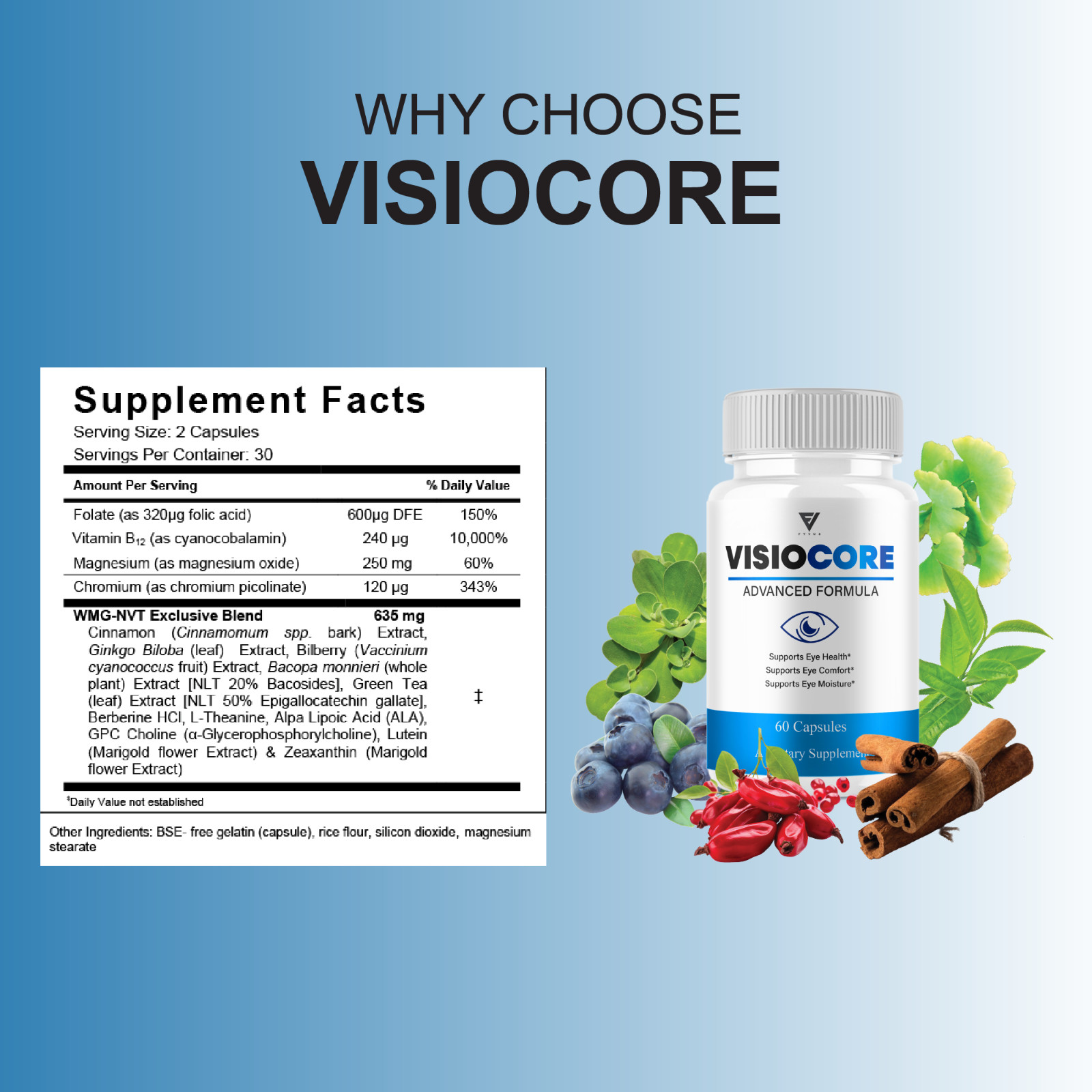 (5 Pack) VisioCore Advanced Formula, Visio Core Eye Care Support (300 Capsules)