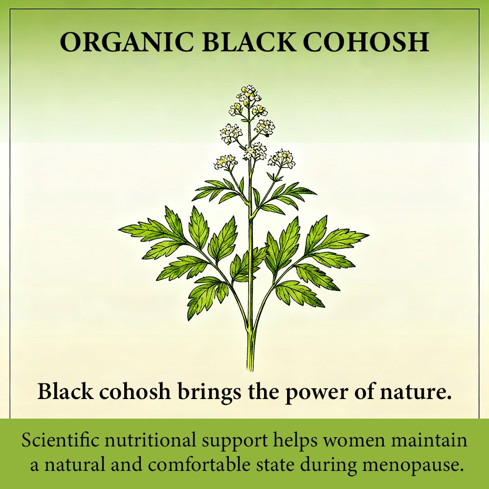 Organic Herbal Extracts 30-120 Capsules Supports Body Comfort Digestive Health