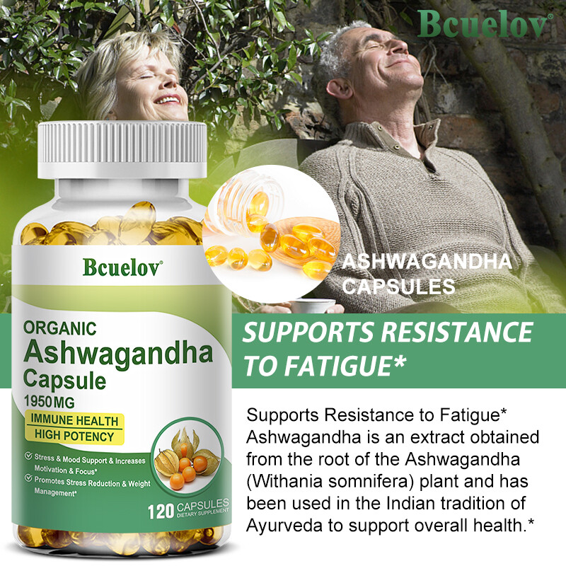 Organic Ashwagandh Capsules | High Dose 1950mg Daily Dose Pure No Additives