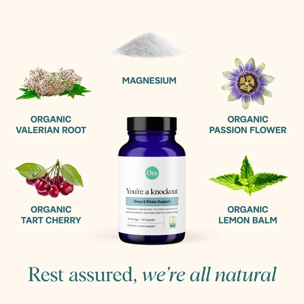 Natural Sleep Aid Supplement Melatonin Magnesium Valerian Root 60 Caps