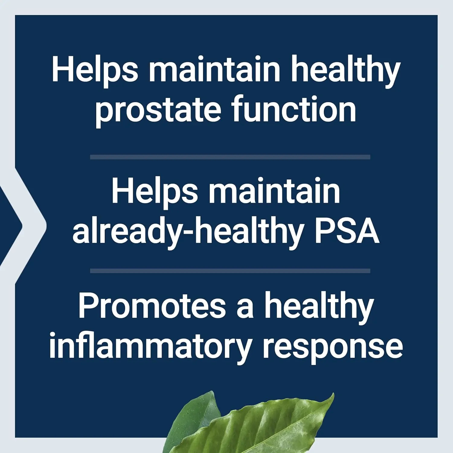 Life Extension Ultra Natural Prostate, 60 Softgels