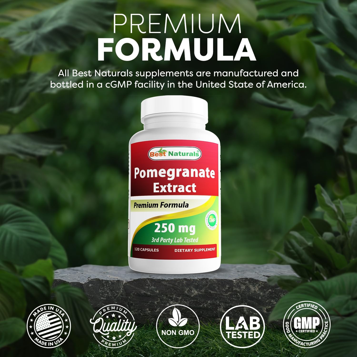 Best Naturals Pomegranate Extract 250 mg 120 Capsules 120 Count (Pack of 1)