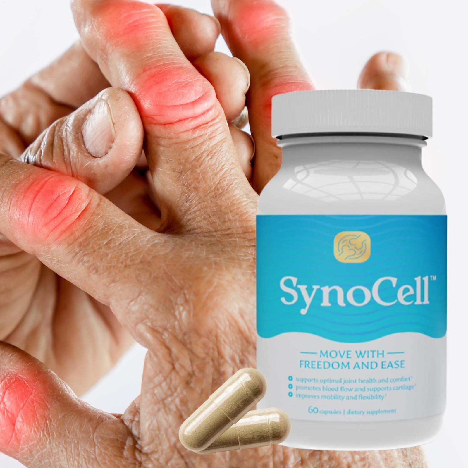 Synocell Glucosamine Chondroitin Complex 5 Pack Joint Back Neck Support 120ct