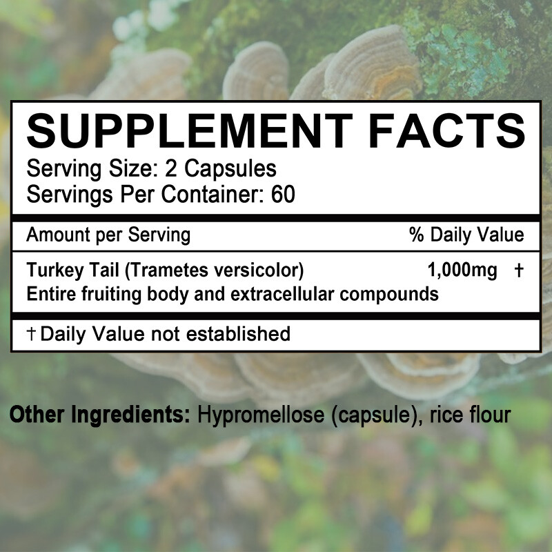 Türkiye Tail Mushroom Capsules – 1000mg – Healthy Immune System – Healthy Living