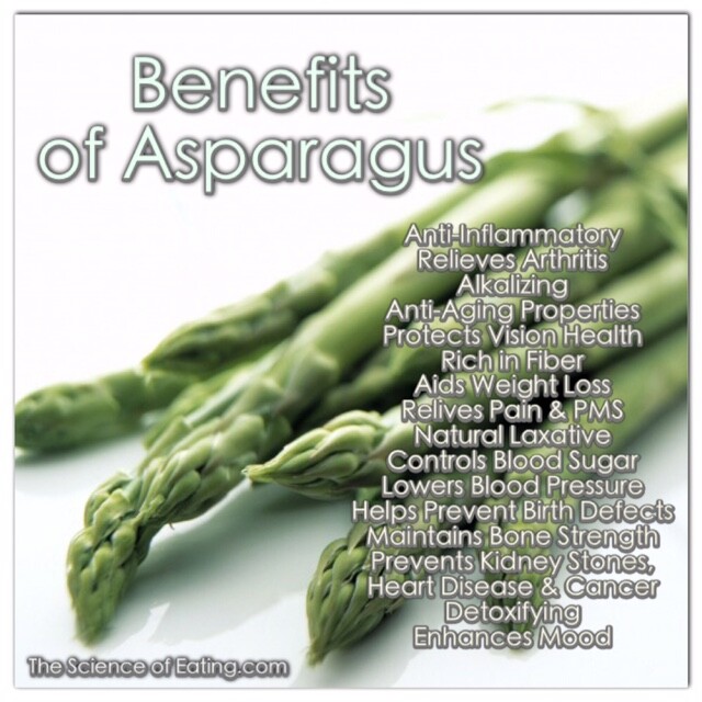 fat burning pills – Asparagus Extract 600mg 1 Bottle – lower blood pressure