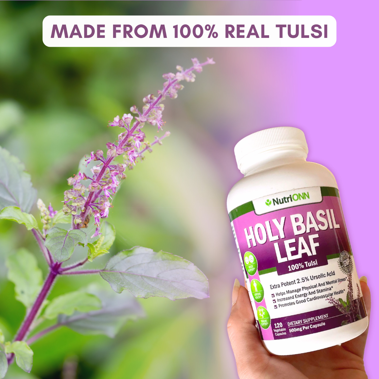 Holy Basil Leaf Extract – 500mg – 2.5% Ursolic Acid – 120 Vegan Capsules