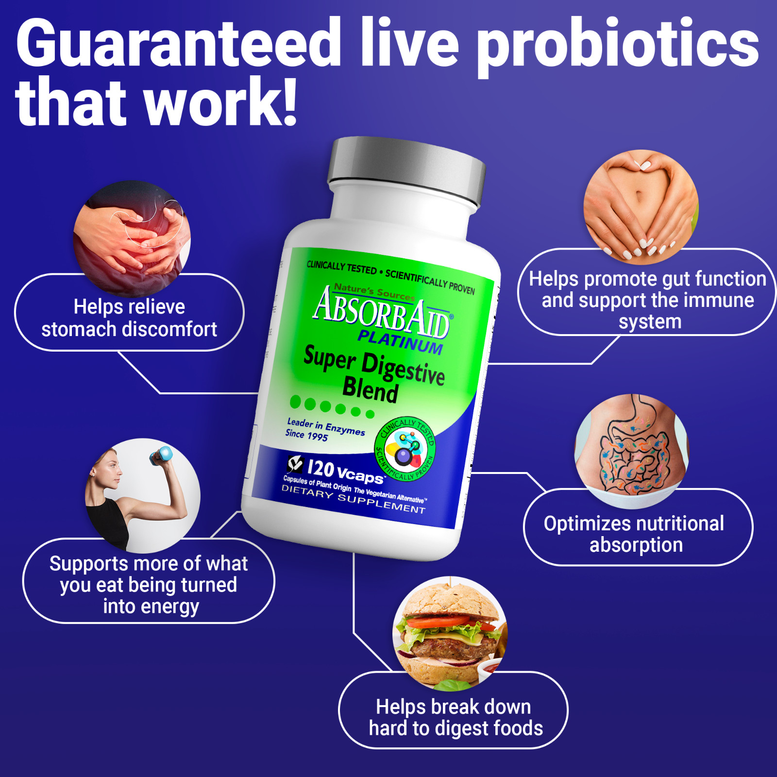 AbsorbAid PLATINUM 120 Digestive Enzyme/Probiotics – Complete Digestive Support!