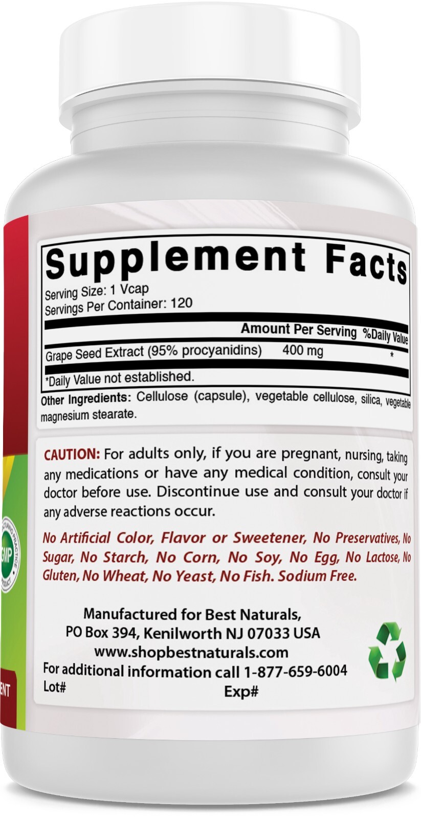 3 Pack Best Naturals Grape Seed Extract 400 mg Veggie Capsule, 120 Count