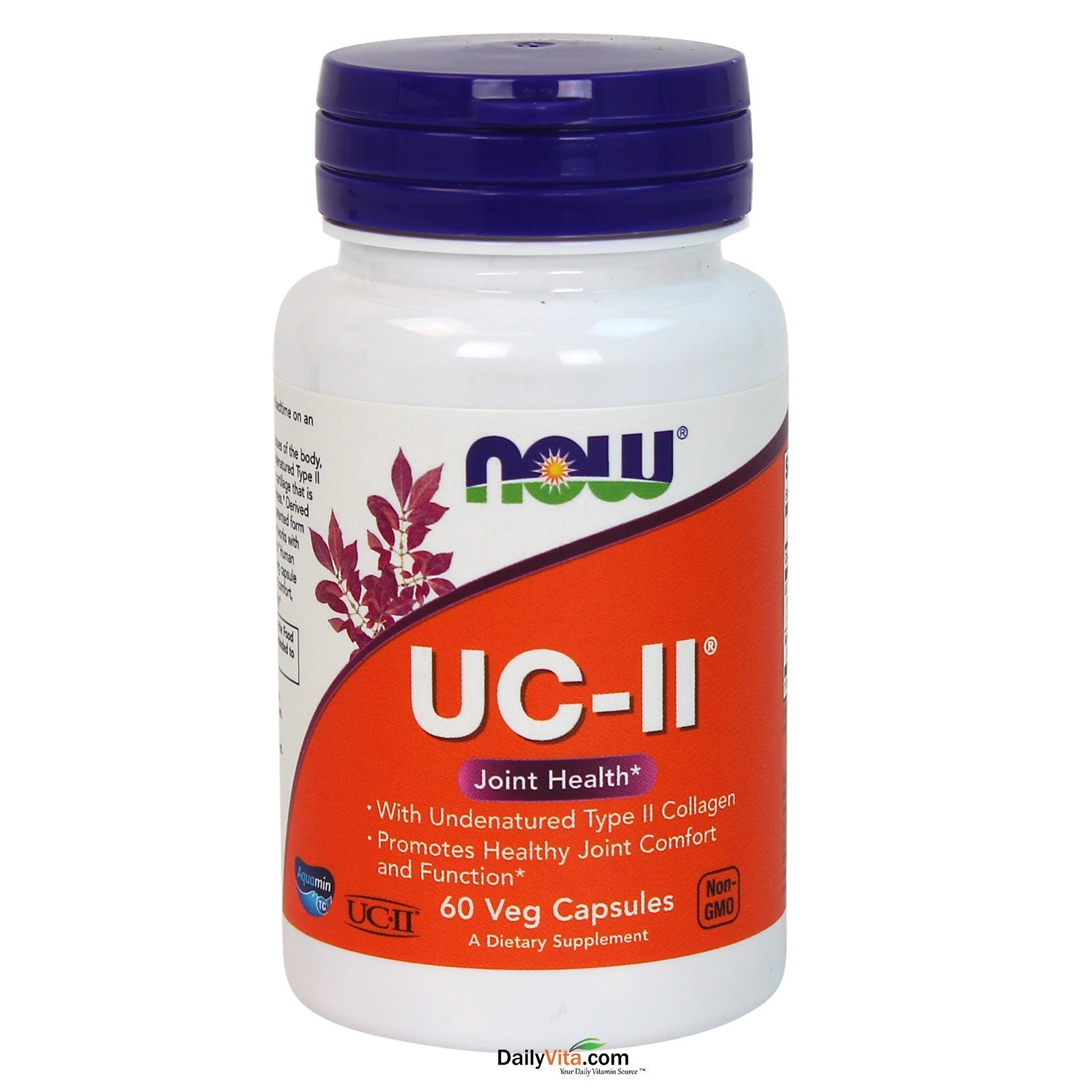 NOW FOODS UC-II Type II Collagen – 60 Veg Capsules