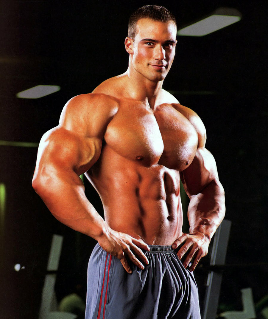 Nitric Oxide Power 2400 – Extreme Recovery – Post workout – 6 Bottles