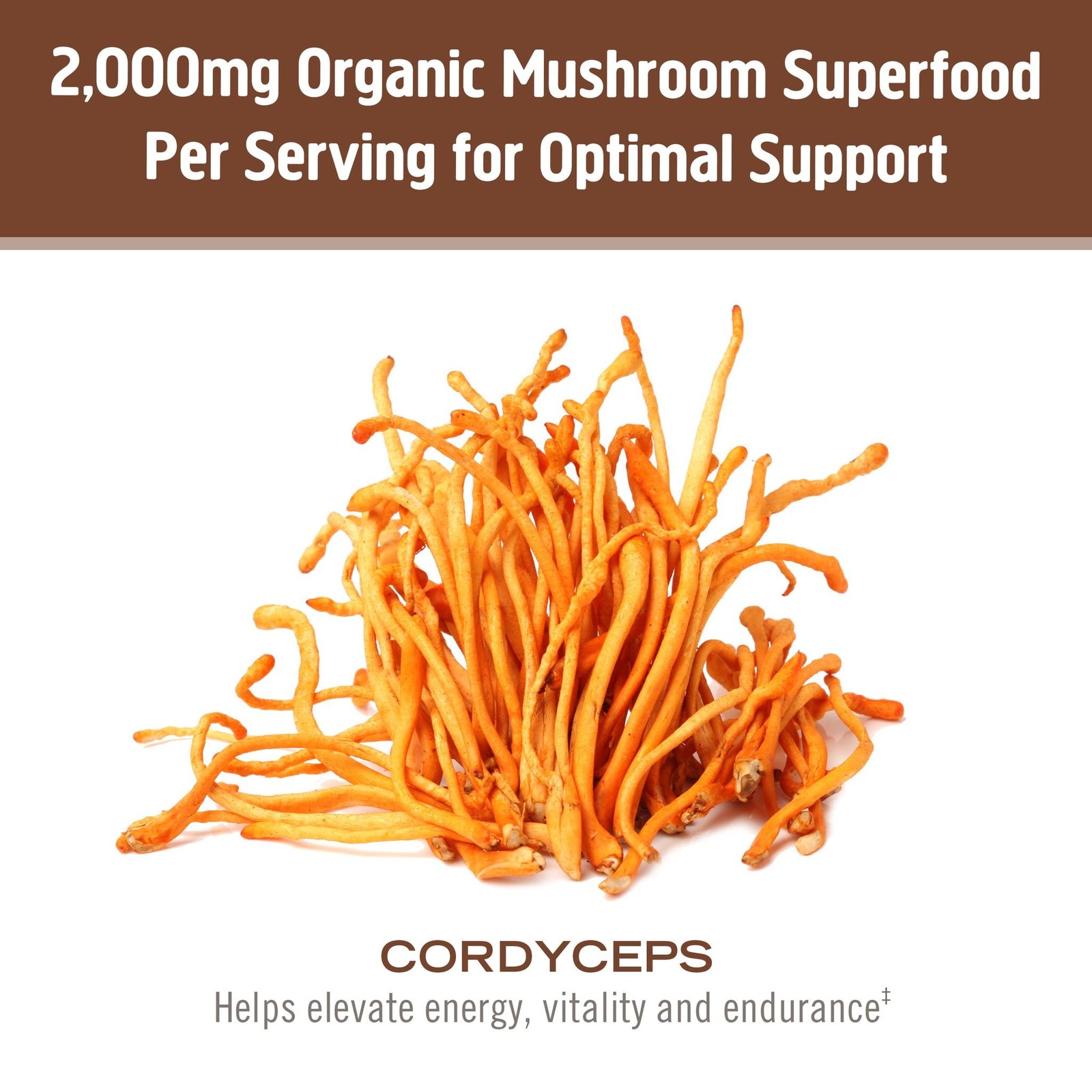 Om Mushroom Superfood Cordyceps Organic Mushroom Powder 7.05 Ounce Energy Boost