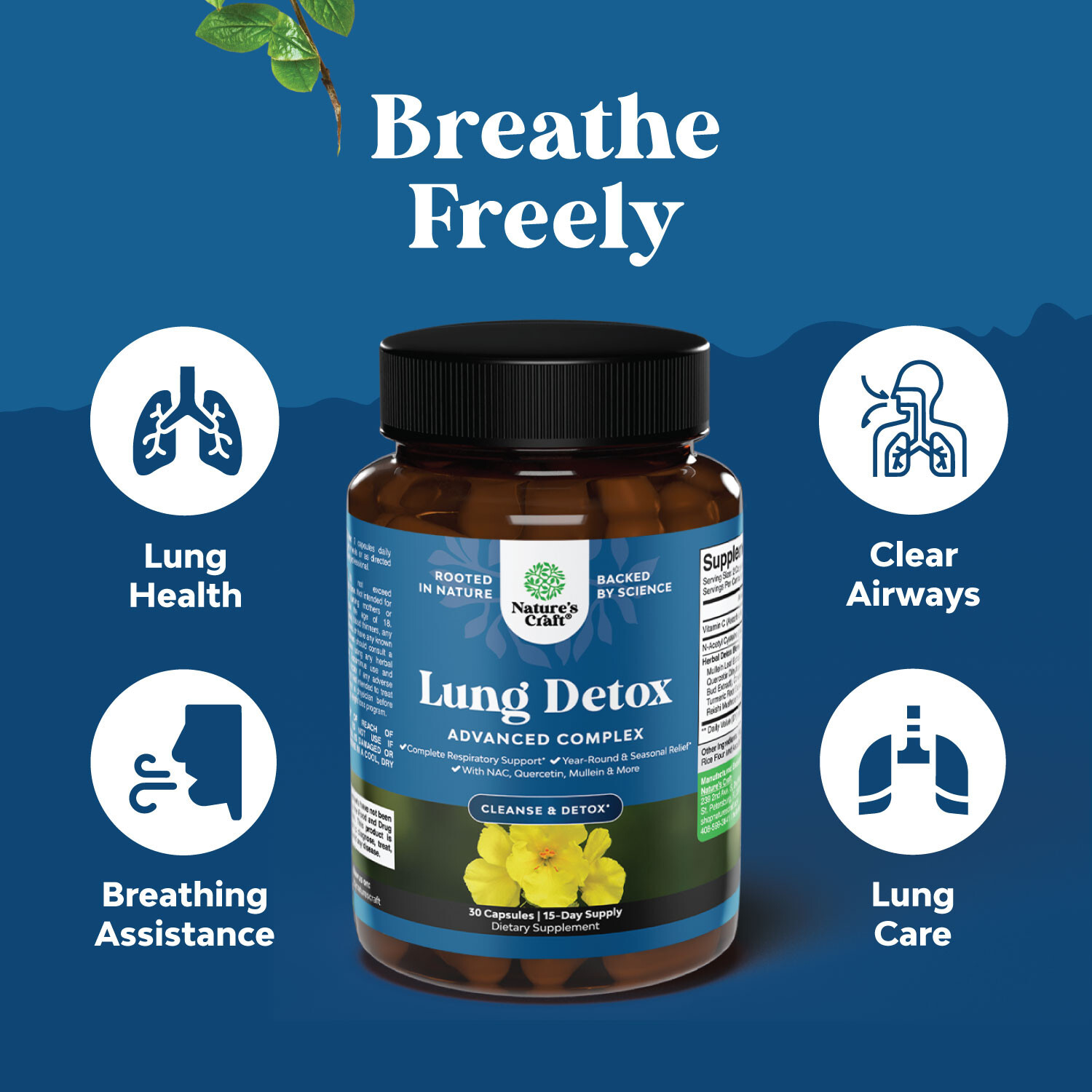 Lung Detox Mullein Leaf Capsules – with NAC Quercetin & Cordyceps Extracts 30ct