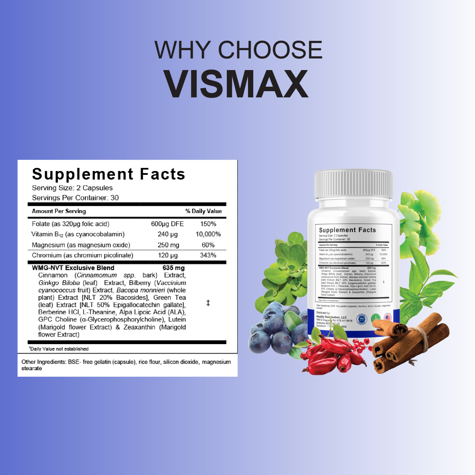 (3 Pack) VisMax Premium Eye Health Supplement, VisMaxx Advanced (180 Capsules)