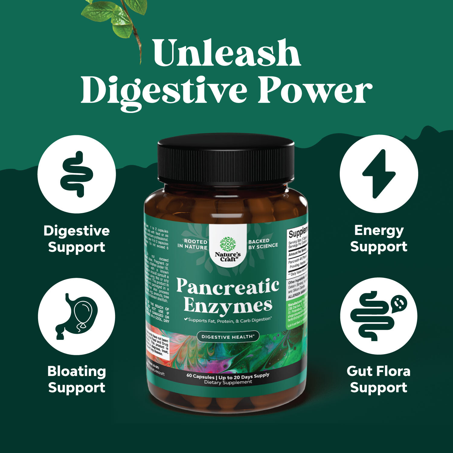 Pancreatin Digestive Enzymes for Digestive Health – Protease Amylase & Lipase