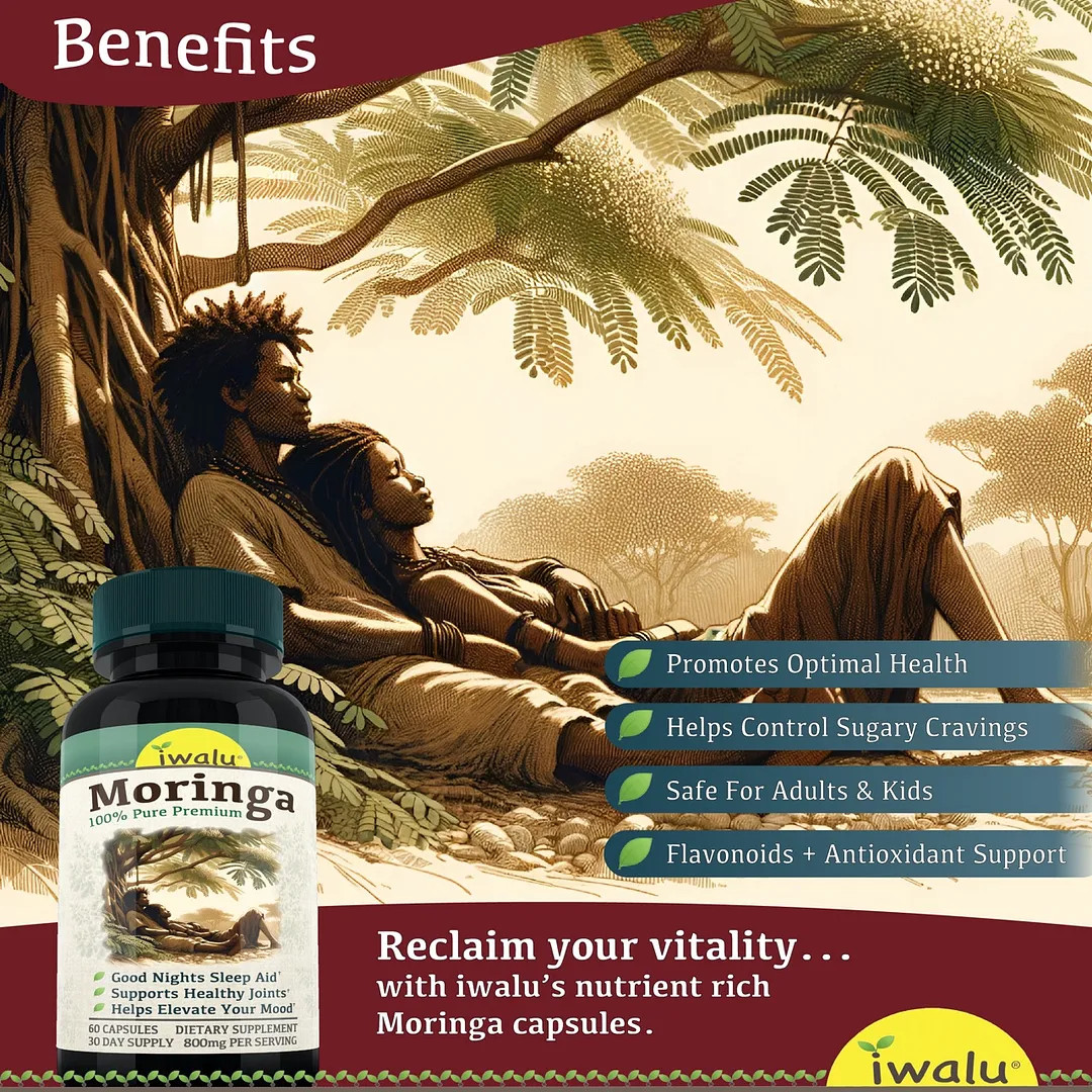Cocoringa Moringa Hot Chocolate | Mejora Suplemento ENVIO GRATIS