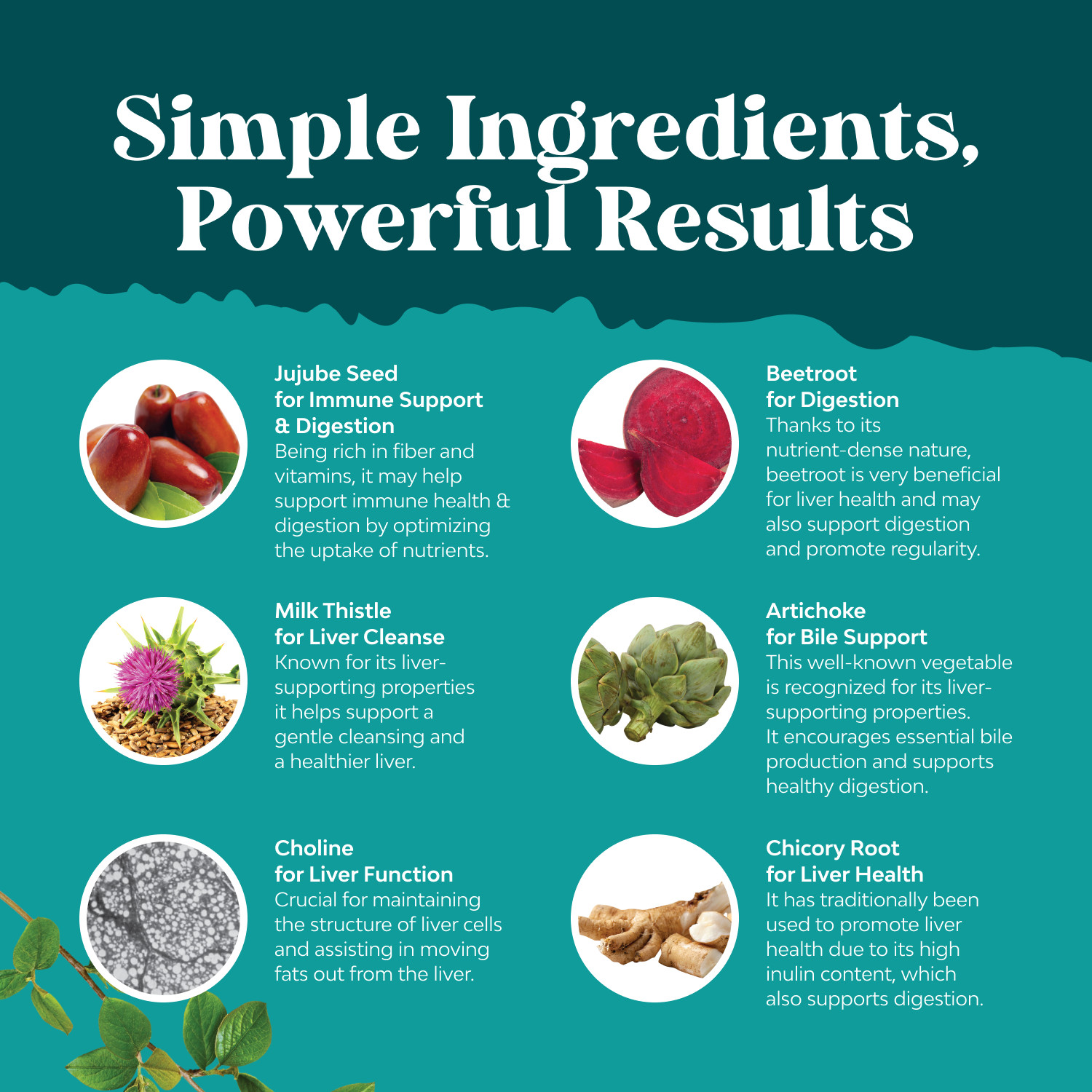 Liver Cleanse Detox & Repair Formula – Herbal Liver Support Supplement