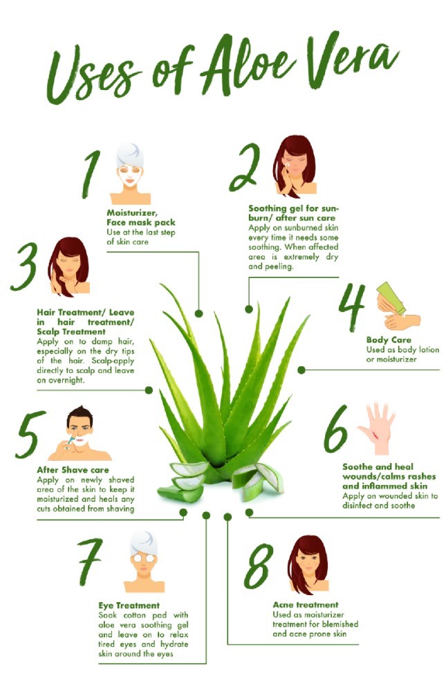 Aloe Vera Whole Leaf Gel | 1floz to 32floz | 100% Pure Natural Cold-Pressed