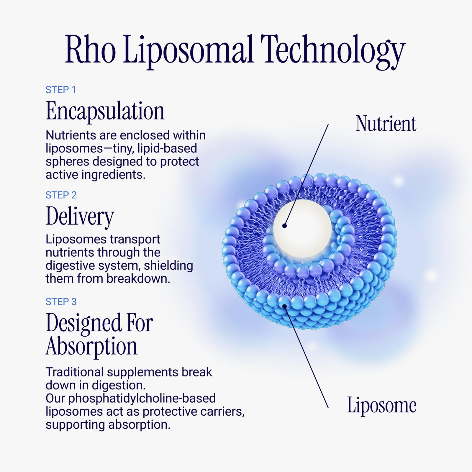 Rho Nutrition Liposomal Glutathione – Ultra High 4 Fl Oz (Pack of 1)