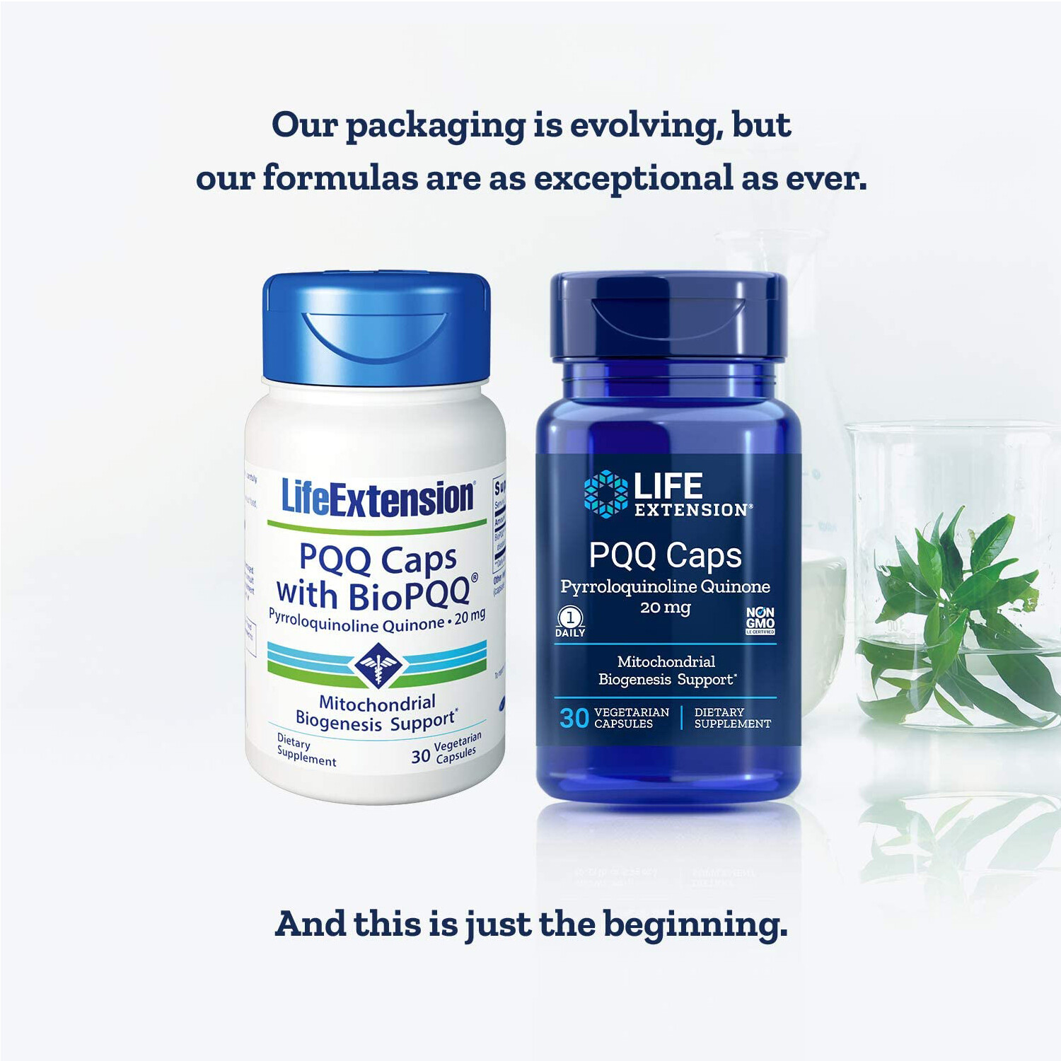 Life Extension PQQ Caps with BioPQQ 20 mg., 30 Vegetarian Capsules