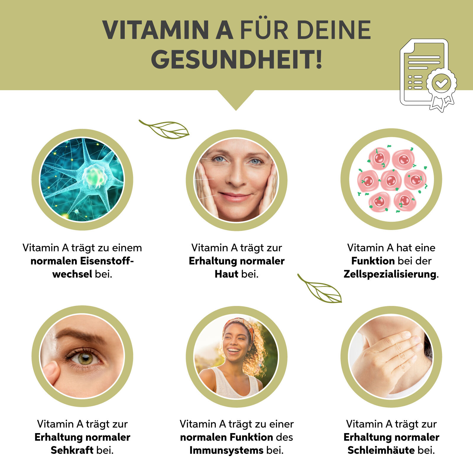 Bio Moringa Kapseln | Moringa Oleifera | Hochdosiert 1290mg Tagesdosis | Vegan