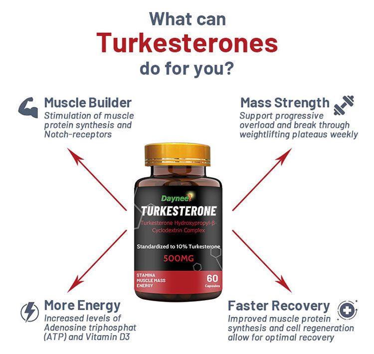 Male Reproductive Energy Tablets+Türkiye Ketone Muscle Endurance Tablets