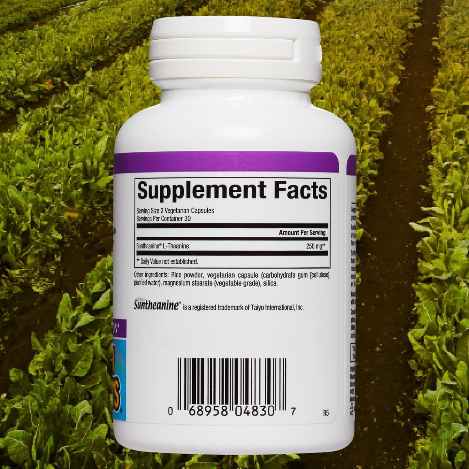 Natural Factors Stress-Relax Suntheanine L-Theanine 125 mg,60 Vegetarian Caps