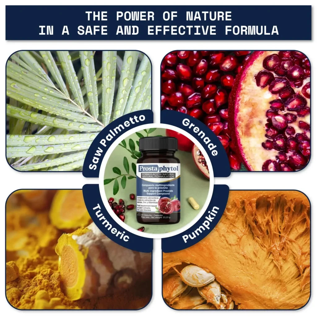 Prostaphytol Multi-ingredient Prostate Support Ultra Concentrated – Saw Palmetto
