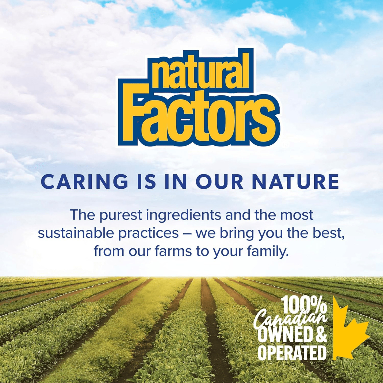 Natural Factors PEA400 PhytoResponse Supports Daily Balance 90 Capsules