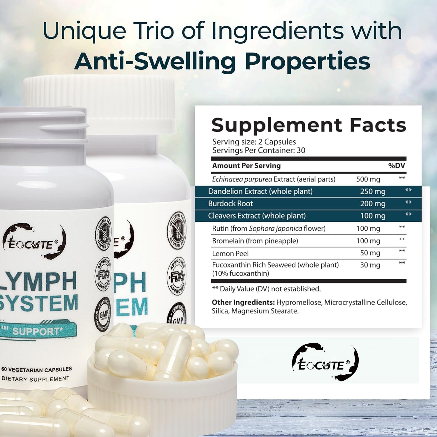 Lymph System Support Supplement with Extract Echinacea Purpurea Dandelion US