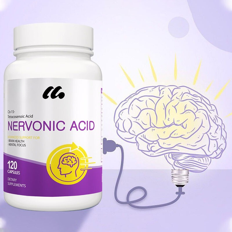 Brain Support 30/60/120 Capsules – Enhance Focus and Improve Mood