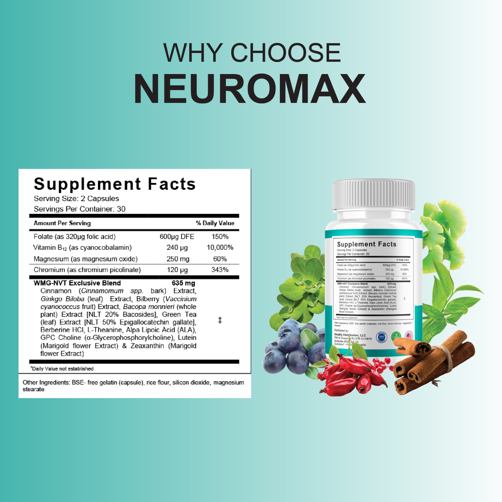 (5 Pack) NeuroMax Brain and Memory Support, Neuro Max Capsules (300 Capsules)