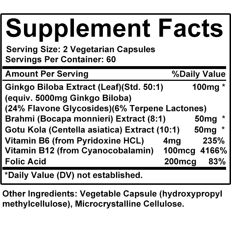 Ginkgo Biloba, 5000 mg, High Dose (24% Flavones), 120 Capsules – Vegan