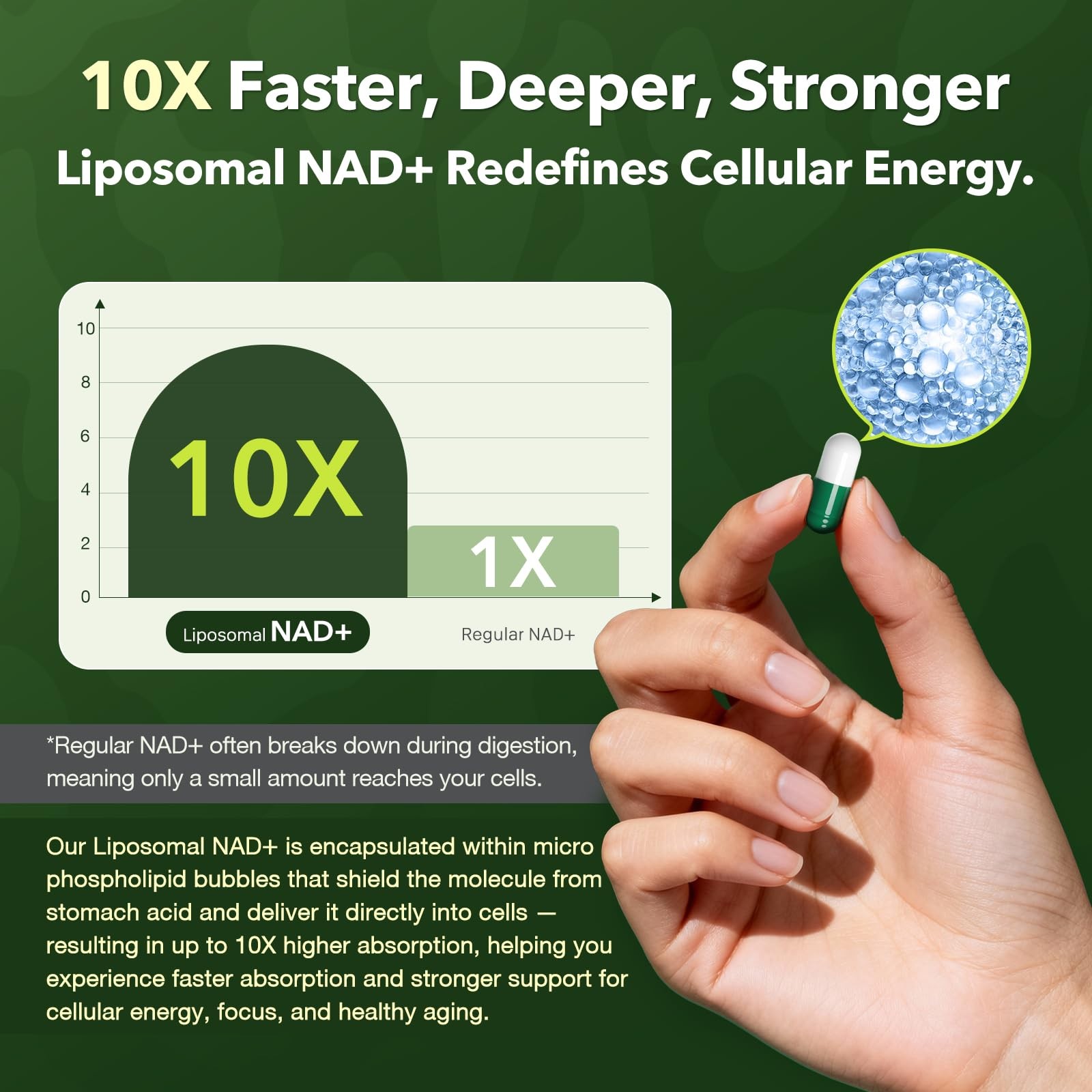 Nad Resveratrol Supplement 61800mg Per Bottle – 90 Count (Pack of 1), Green