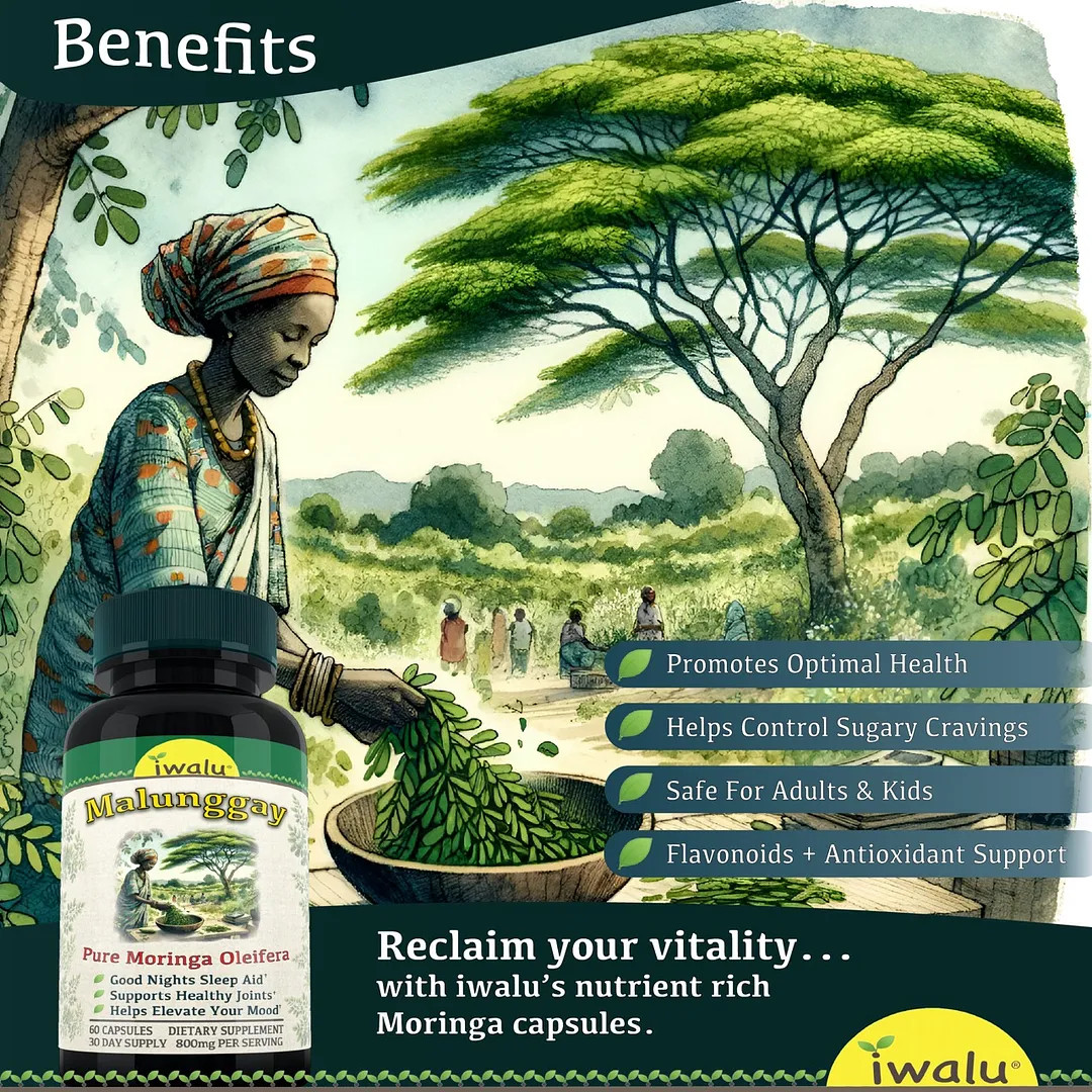 Moringa Pills | Best Supplement Capsule Pill Men Women FREE SHIP