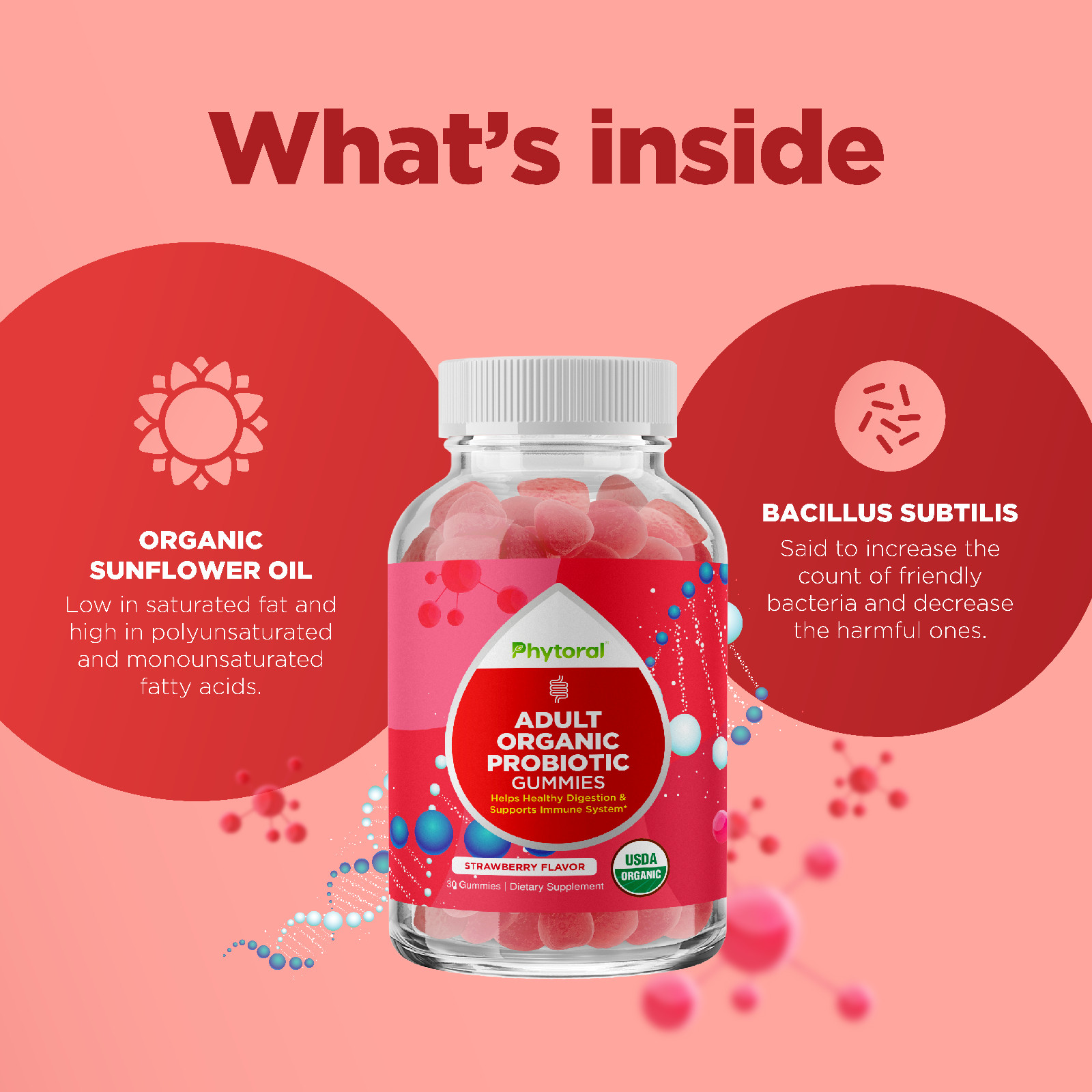 Healthy Gut Probiotic and Digestive Health Gummies for Adults – 5 Billion CFU
