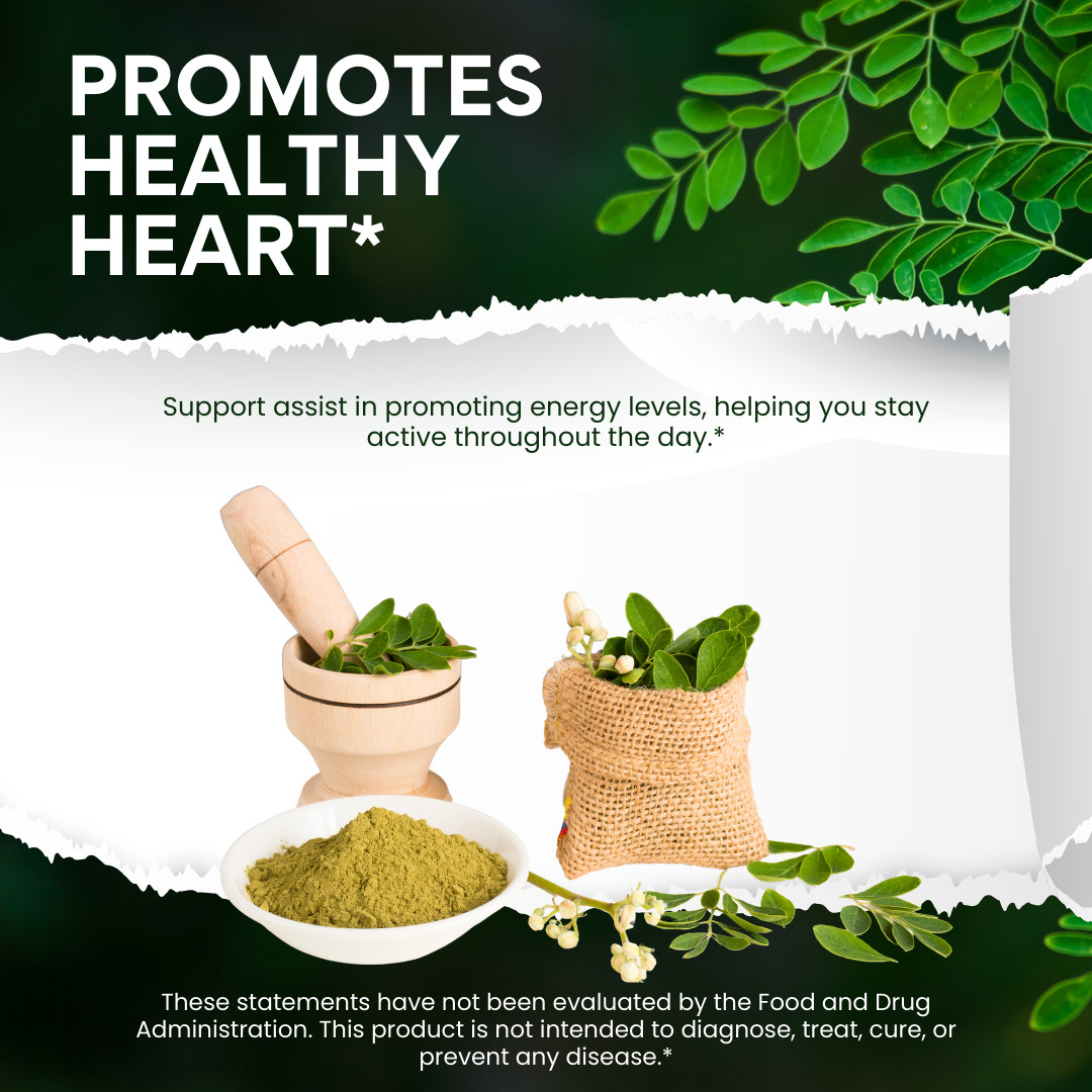 Moringa Capsules 100% Pure, Supports Overall Wellness – Supplement | 12 Bottles