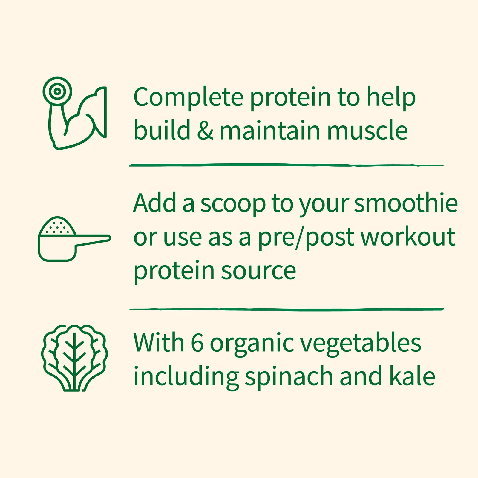 Organic Plant Based Greens Probiotic 20G Protein Shake Drink Powder for Digestiv