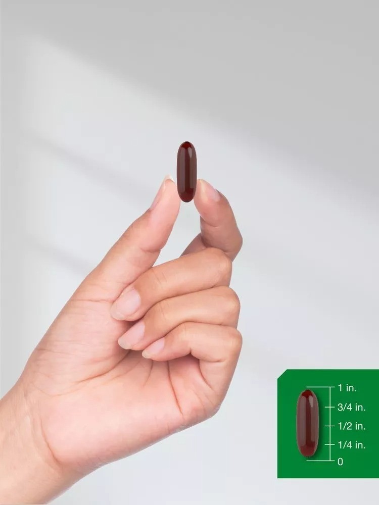 Black Seed Oil 2000mg | 120 Softgel Capsules | Nigella Sativa | by Horbaach