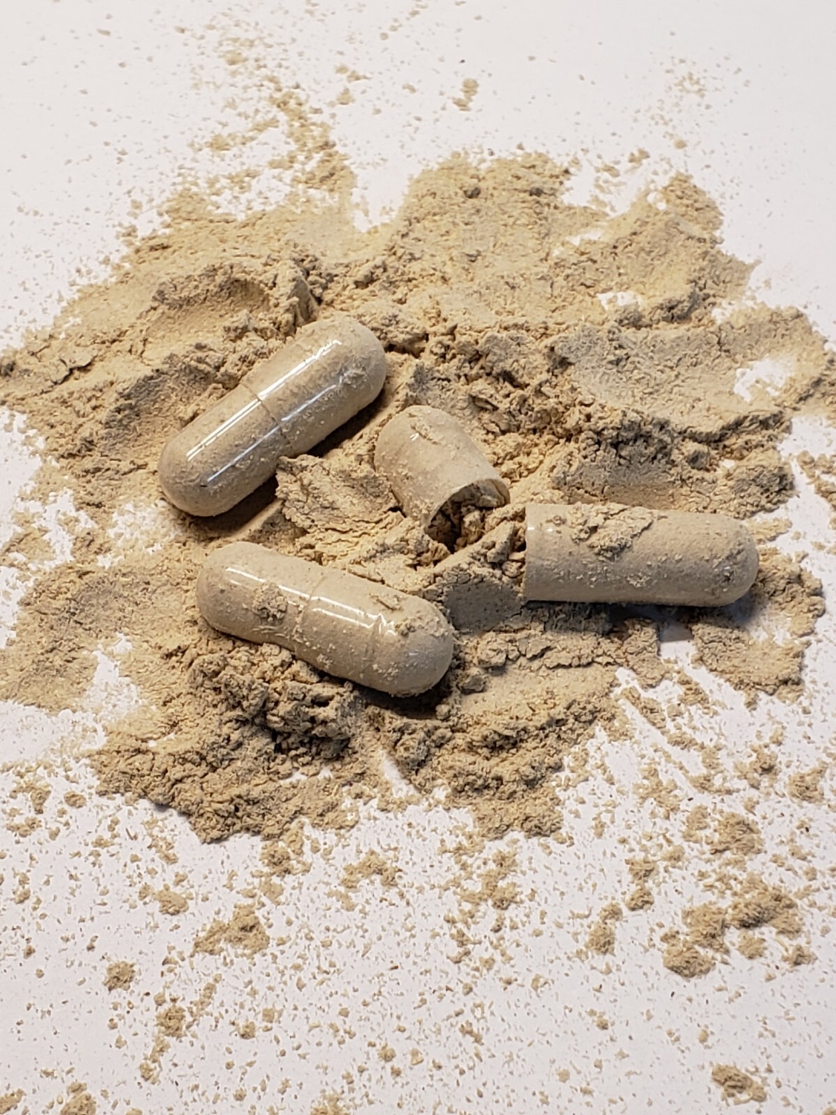 Echinacea Root Capsules 300 Ct – Made Fresh On Demand!